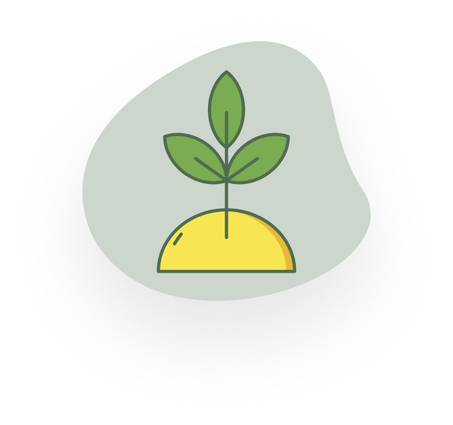 MadBudz - Organic Grown Weed