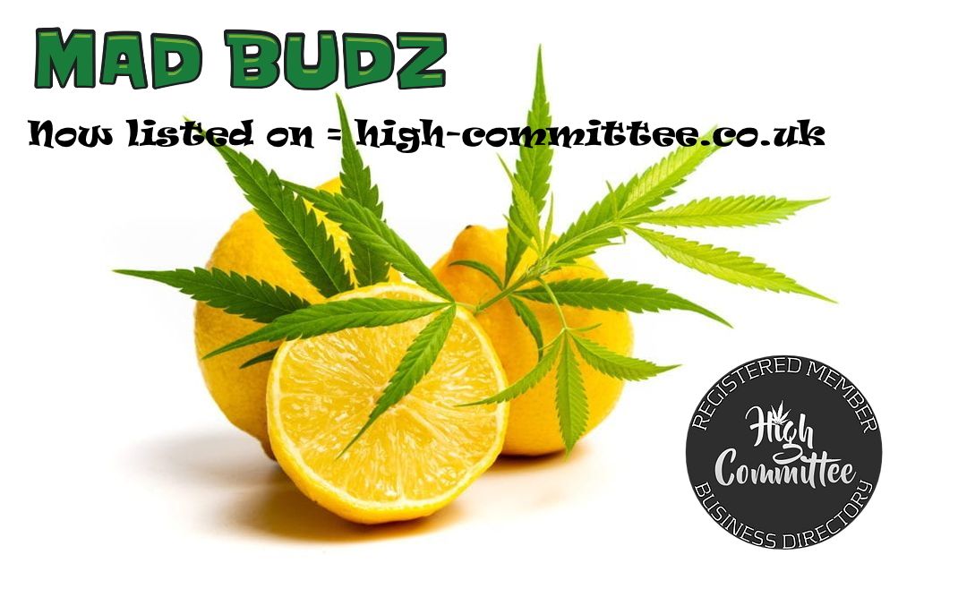 MadBudz Shop Now Listed At High-Committee Business Directory