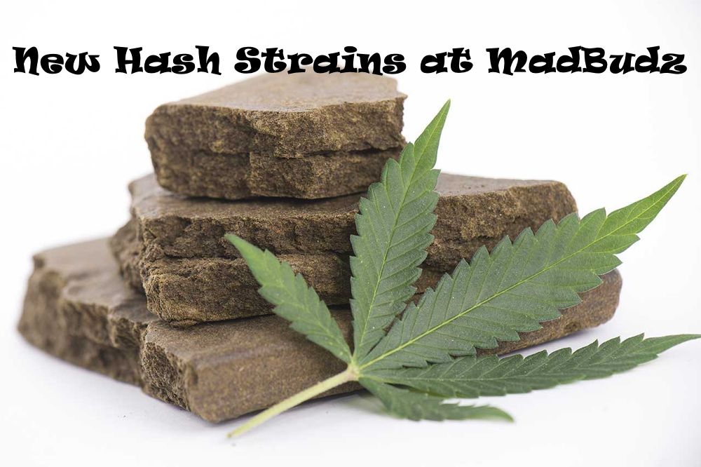 New hash strains added to MadBudz shop assortment