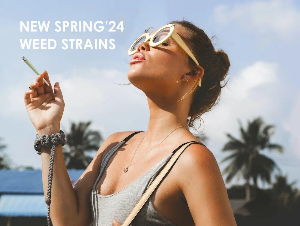 MadBudz News Get Spring Spring 2024 Ready New Weed Strains
