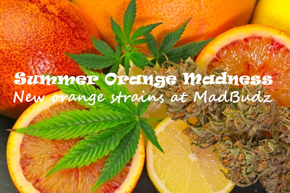 New Orange Flavored Weed Strains At MadBudz