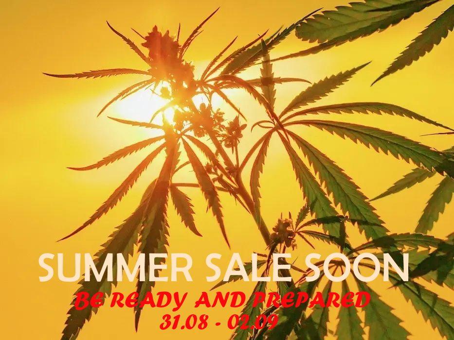 MadBudz News End Of Summer Sale 23
