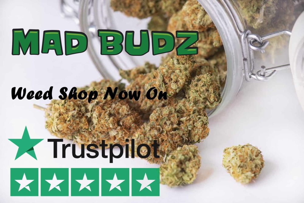 MadBudz Shop On Trustpilot.com Service